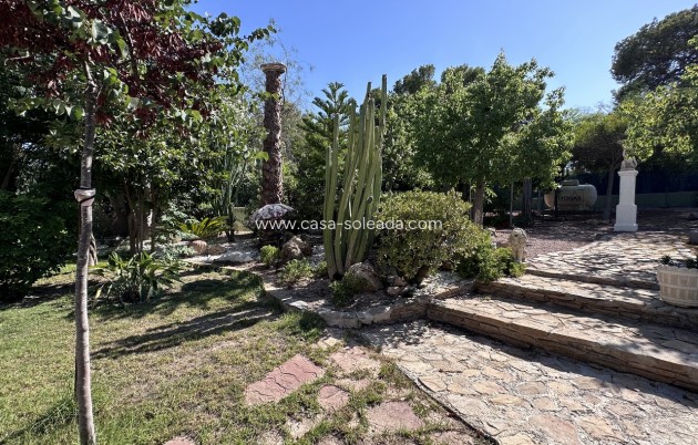 Revente - Villa - Elche - Costa Blanca