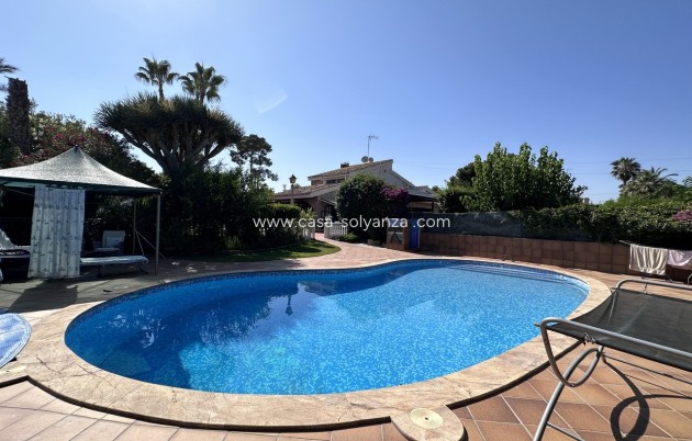 Revente - Villa - Elche - Costa Blanca