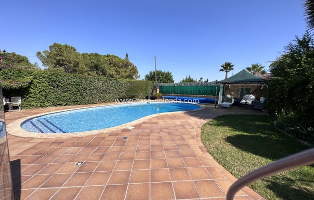 Revente - Villa - Elche - Costa Blanca
