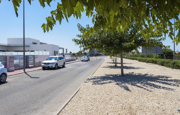 New Build - Villa - Daya Nueva