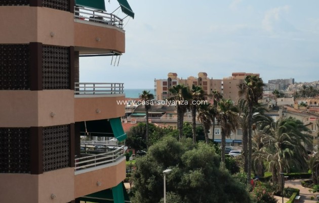 Revente - Appartement - Torrevieja - Costa Blanca