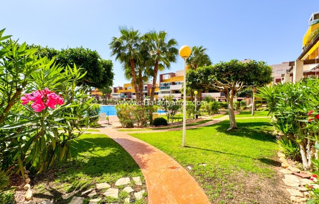 Wiederverkauf - Wohnung - Playa Flamenca