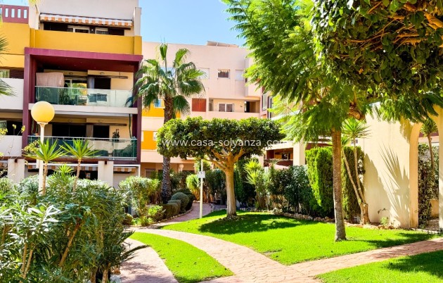 Wiederverkauf - Wohnung - Playa Flamenca
