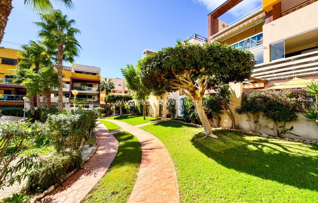 Wiederverkauf - Wohnung - Playa Flamenca