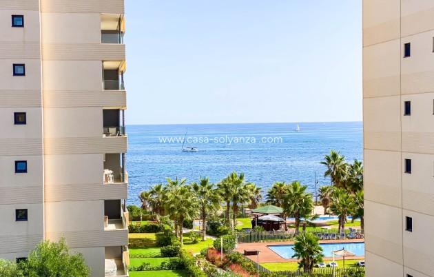 Wiederverkauf - Wohnung - Punta Prima