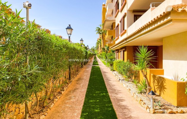 Wiederverkauf - Wohnung - Punta Prima