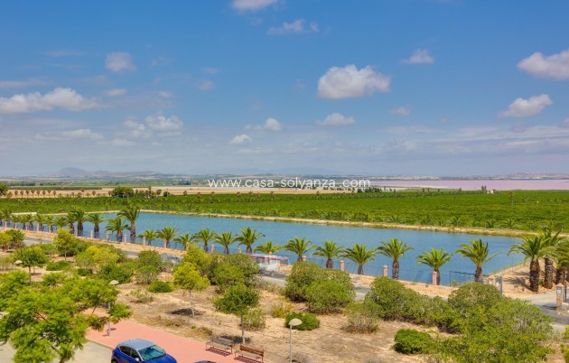 Revente - Appartement - Torrevieja - Los Balcones