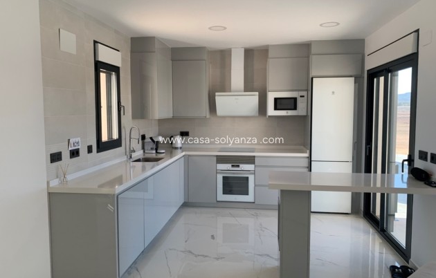 Obra nueva - Villa - Pinoso