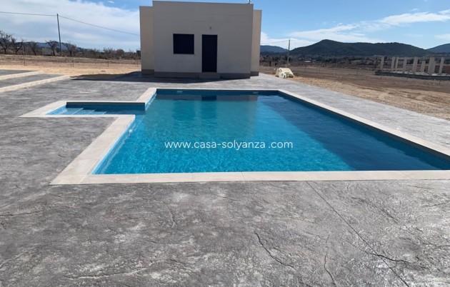 Obra nueva - Villa - Pinoso