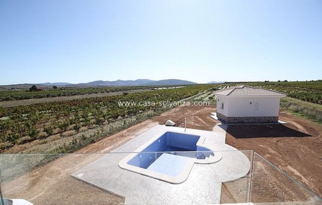 Wiederverkauf - Villa - Pinoso