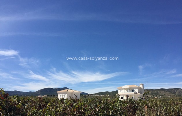 Wiederverkauf - Villa - Pinoso