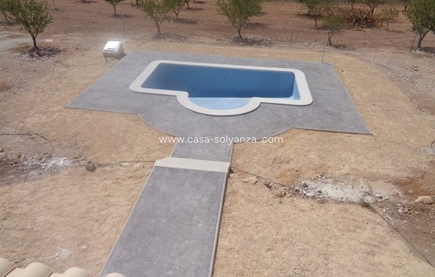 Nouvelle construction - Villa - Pinoso