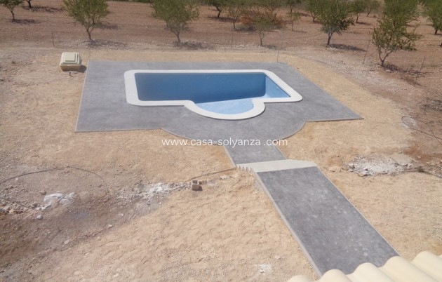 Nouvelle construction - Villa - Pinoso