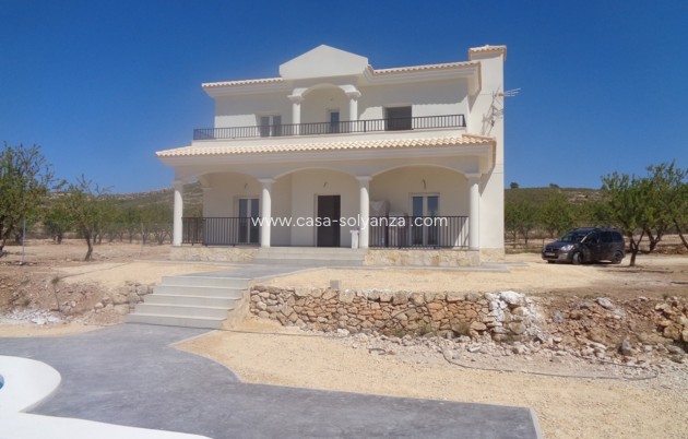Nouvelle construction - Villa - Pinoso
