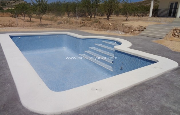 Nouvelle construction - Villa - Pinoso