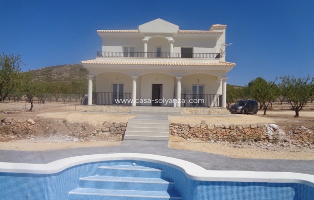 Nouvelle construction - Villa - Pinoso
