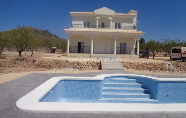 Nouvelle construction - Villa - Pinoso