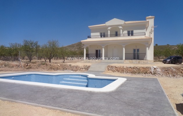 Nouvelle construction - Villa - Pinoso