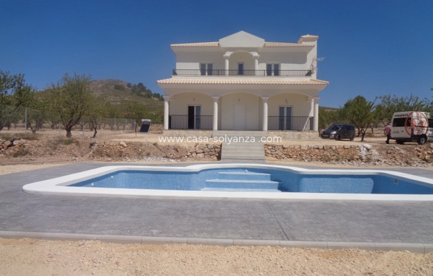 Nouvelle construction - Villa - Pinoso