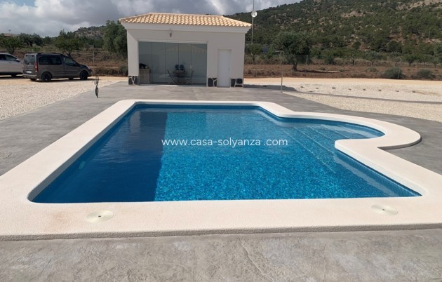 Nieuwbouw Woningen - Villa - Pinoso