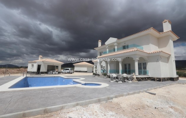 Nieuwbouw Woningen - Villa - Pinoso