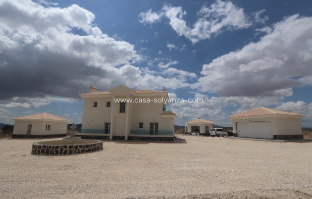 Nieuwbouw Woningen - Villa - Pinoso