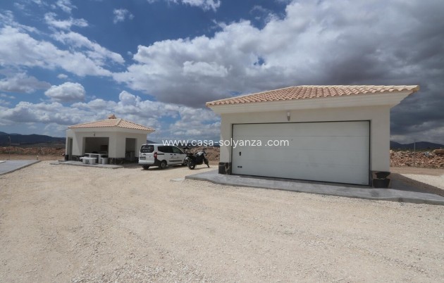 Nieuwbouw Woningen - Villa - Pinoso