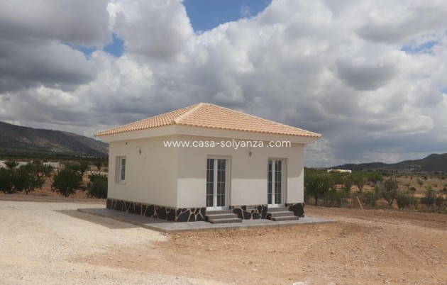 Nieuwbouw Woningen - Villa - Pinoso