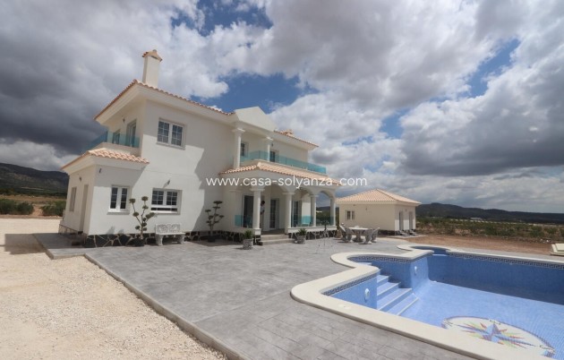 Nieuwbouw Woningen - Villa - Pinoso