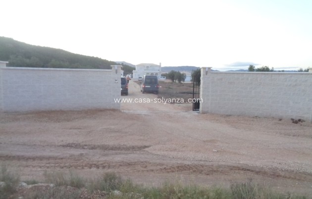 Nieuwbouw Woningen - Villa - Pinoso