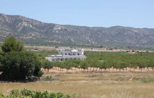 Neue Gebäude - Villa - Pinoso