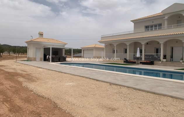 Nouvelle construction - Villa - Pinoso