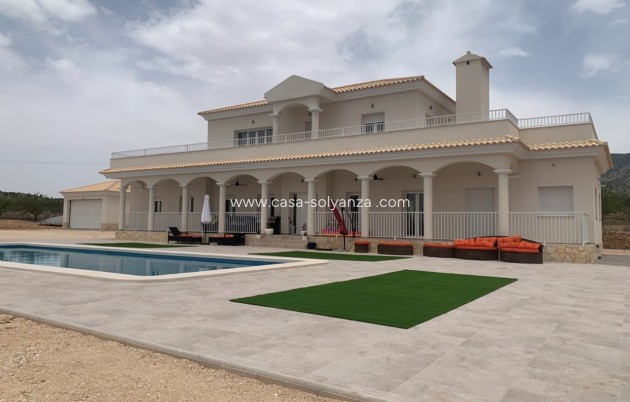 Nouvelle construction - Villa - Pinoso
