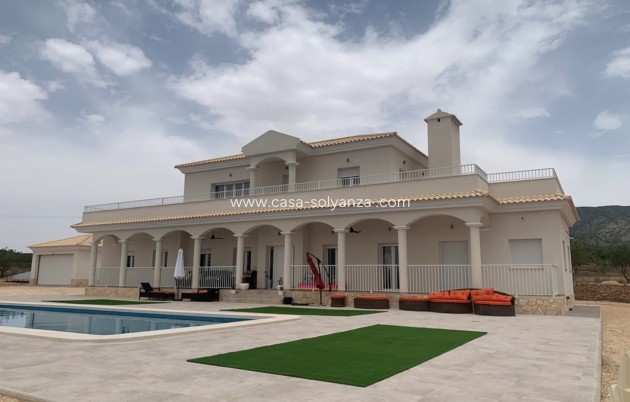 Nouvelle construction - Villa - Pinoso