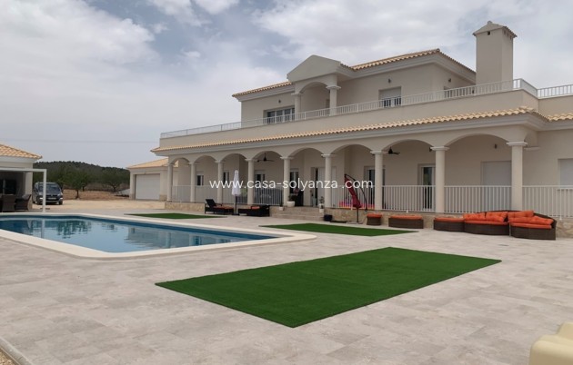 Nouvelle construction - Villa - Pinoso