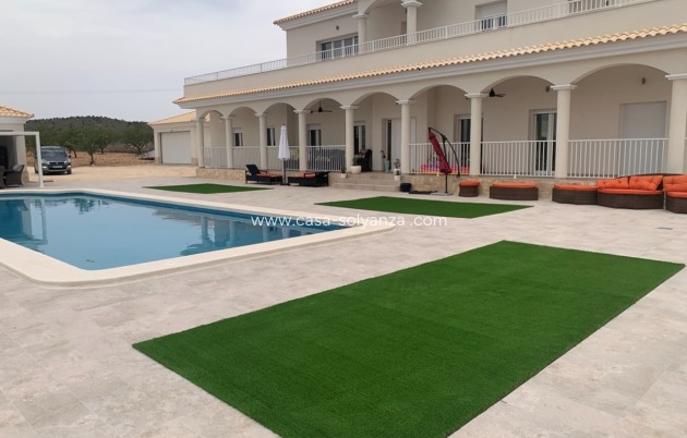 Nouvelle construction - Villa - Pinoso