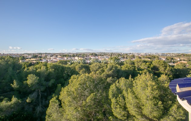 Wiederverkauf - Wohnung - Lomas de Cabo Roig
