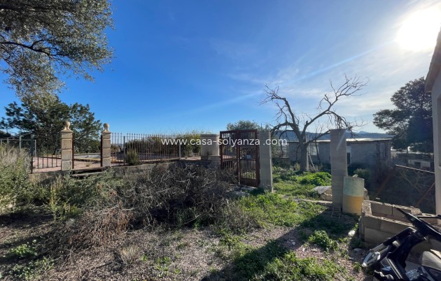 Revente - Country Property/Finca - Aspe - Inland