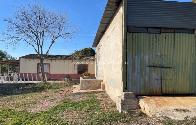 Revente - Country Property/Finca - Aspe - Inland