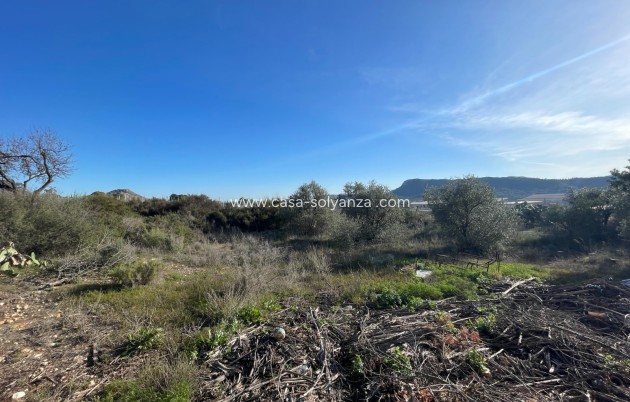 Revente - Country Property/Finca - Aspe - Inland