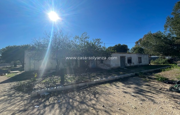 Revente - Country Property/Finca - Elche - Costa Blanca