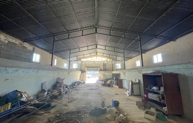 Revente - Country Property/Finca - Elche - Costa Blanca