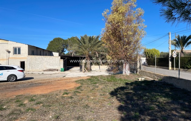 Revente - Country Property/Finca - Elche - Costa Blanca