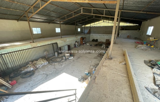 Revente - Country Property/Finca - Elche - Costa Blanca