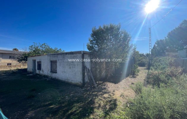 Revente - Country Property/Finca - Elche - Costa Blanca