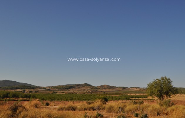 Herverkoop - Country Property/Finca - Pinoso - Inland