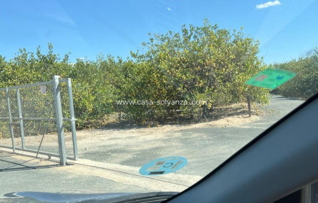 Resale - Land - Los Montesinos - Los Perez