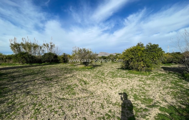 Revente - Villa - Benejuzar - Inland