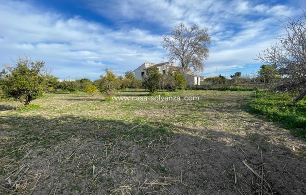 Revente - Villa - Benejuzar - Inland