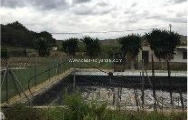 Revente - Land - Orihuela - Desamparados